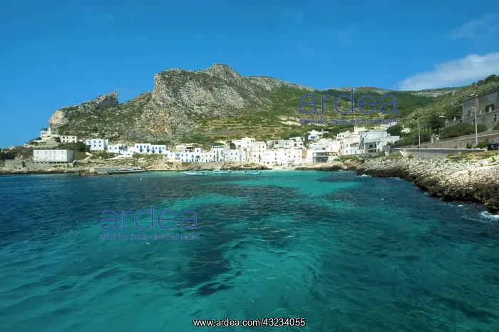 : Italy, Sicily, Egadi Islands, Levanzo, transparent : Italy, Sicily, Egadi Islands, Levanzo, transparent