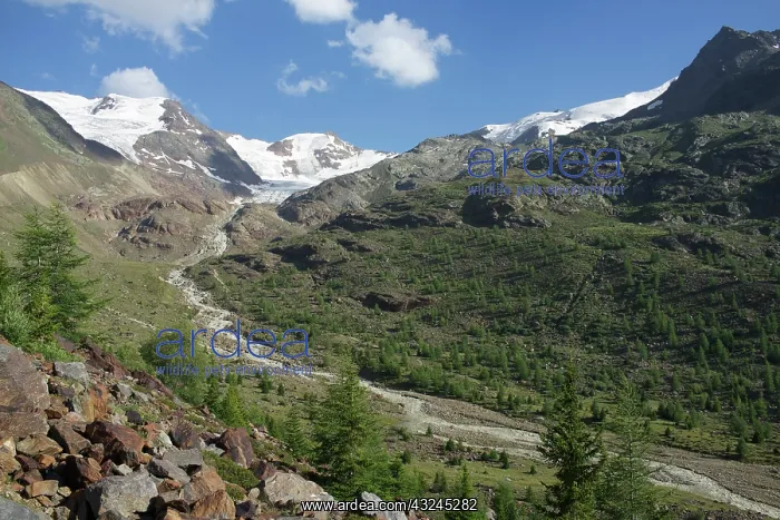 : Italy, Stelvio National Park, Forni valley : Italy, Stelvio National Park, Forni valley