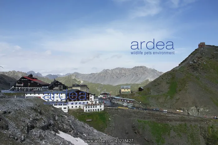 : Italy, Stelvio National Park, Stelvio Pass : Italy, Stelvio National Park, Stelvio Pass