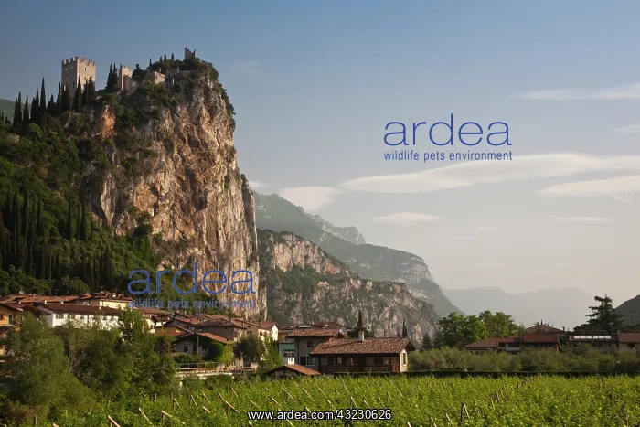 : Italy, Trento Province, Arco. Mountaintop : Italy, Trento Province, Arco. Mountaintop