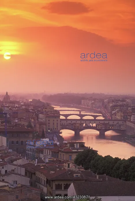 : Italy, Tuscanny, Florence. Ponte Vecchio : Italy, Tuscanny, Florence. Ponte Vecchio