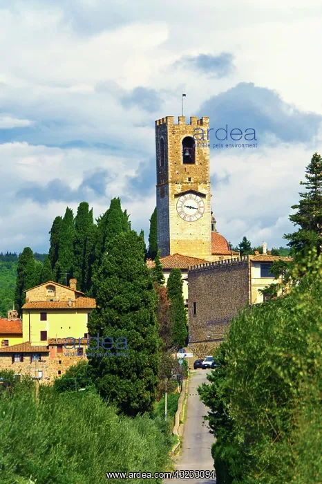: Italy, Tuscany. Badia a Passignano, Antinori's : Italy, Tuscany. Badia a Passignano, Antinori's