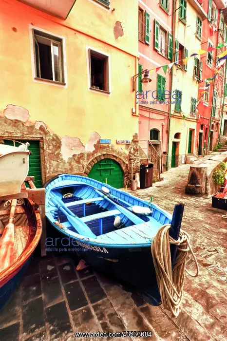 : Italy, Tuscany, Cinque Terre. In the fishing : Italy, Tuscany, Cinque Terre. In the fishing