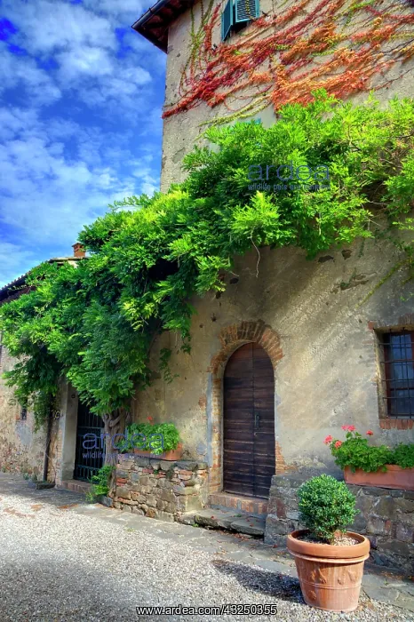 : Italy, Tuscany. Courtyard of an agriturismo near : Italy, Tuscany. Courtyard of an agriturismo near