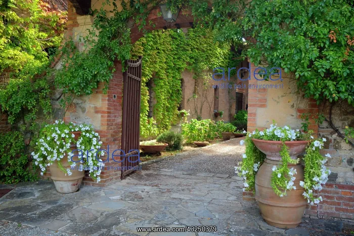: Italy, Tuscany. Courtyard of an agriturismo near : Italy, Tuscany. Courtyard of an agriturismo near