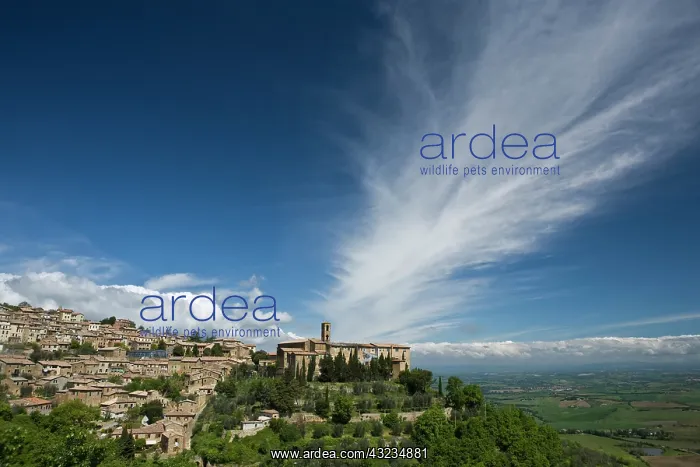 : Italy, Tuscany. Dramatic clouds over the : Italy, Tuscany. Dramatic clouds over the