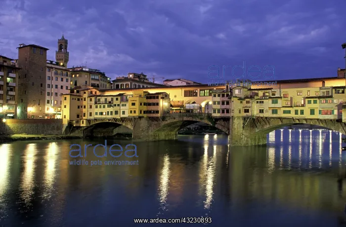 : Italy, Tuscany, Florence. Evening view of : Italy, Tuscany, Florence. Evening view of
