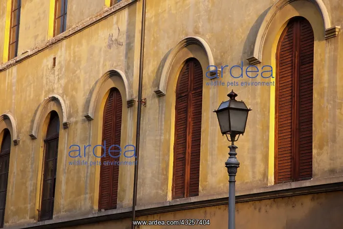 : Italy, Tuscany, Lucca. Street lamppost and arched : Italy, Tuscany, Lucca. Street lamppost and arched