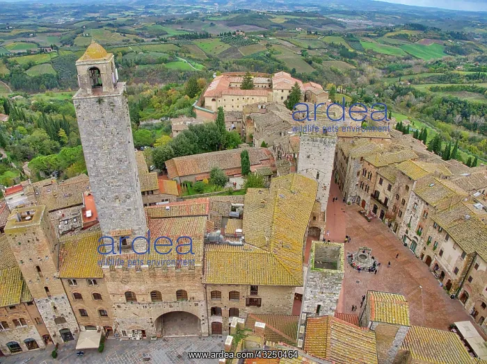 : Italy, Tuscany, San Gimignano. View from the Torre : Italy, Tuscany, San Gimignano. View from the Torre