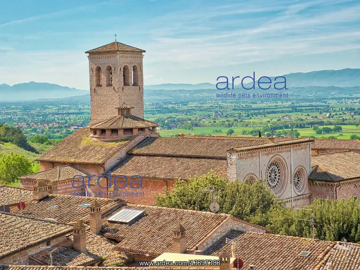 : Italy, Umbria, Assisi. View of buildings and valley : Italy, Umbria, Assisi. View of buildings and valley