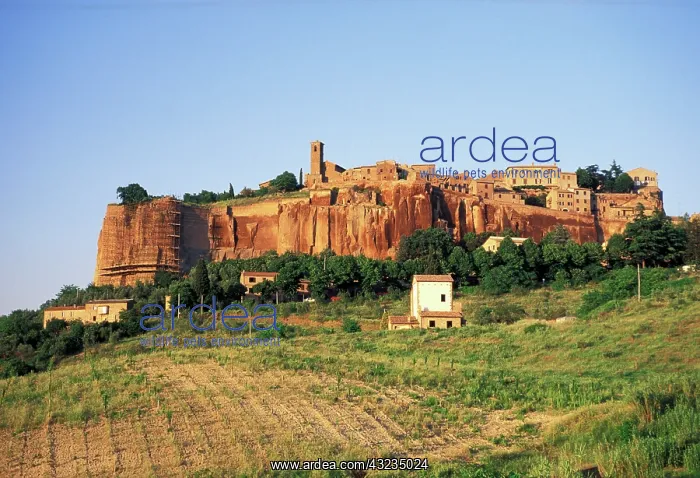 : Italy, Umbria. Orvieto : Italy, Umbria. Orvieto