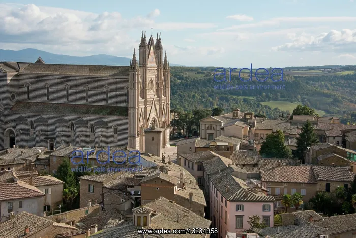 : Italy, Umbria, Orvieto. Overview of the : Italy, Umbria, Orvieto. Overview of the