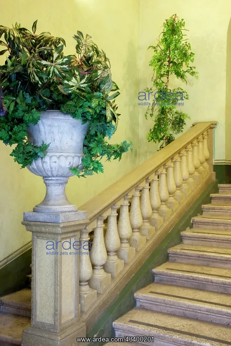 : Italy, Umbria, Spoleto. Concrete urn filled with : Italy, Umbria, Spoleto. Concrete urn filled with