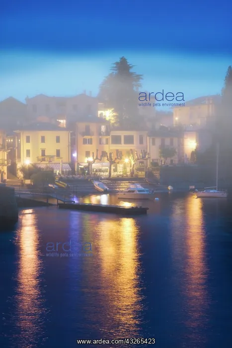 : Italy, Varenna. Misty evening dock scene : Italy, Varenna. Misty evening dock scene