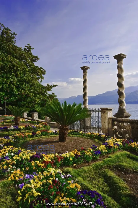 : Italy, Varenna. Villa on the shores of Lake : Italy, Varenna. Villa on the shores of Lake