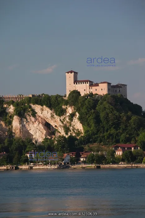 : Italy, Varese Province, Angera. La Rocca : Italy, Varese Province, Angera. La Rocca