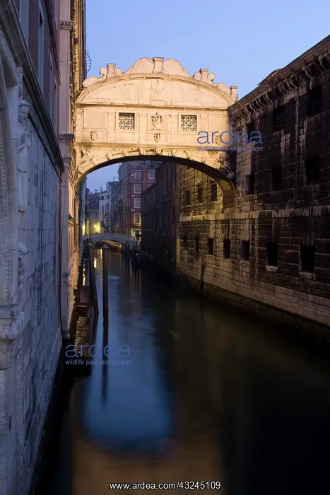 : Italy, Venice. The Bridge of Sighs lit at : Italy, Venice. The Bridge of Sighs lit at