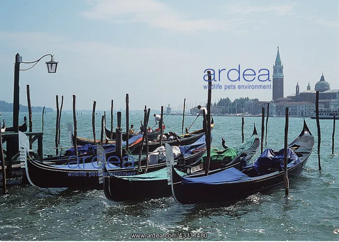 : ITALY - VENICE, Gondolas : ITALY - VENICE, Gondolas