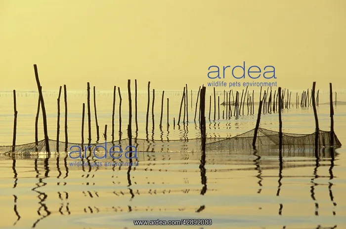  : Italy - Venice Lagoon with fishing nets