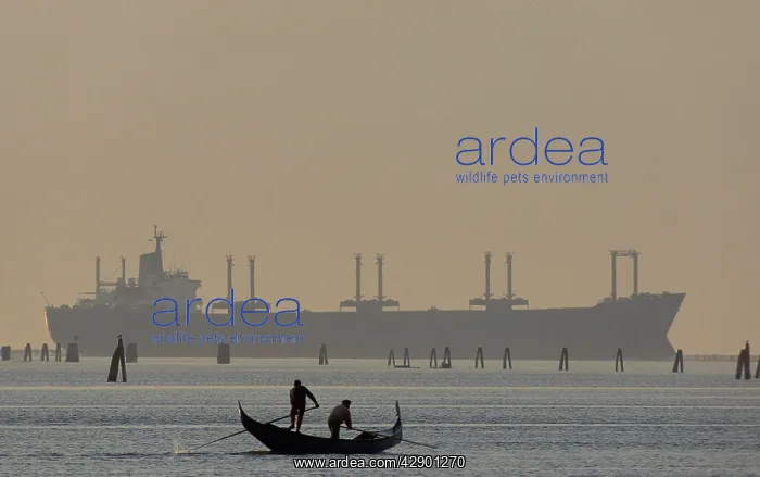 : Italy - Venice lagoon - Gondola and cargo ship : Italy - Venice lagoon - Gondola and cargo ship