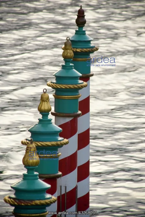 : Italy, Venice. A line of gondola parking : Italy, Venice. A line of gondola parking