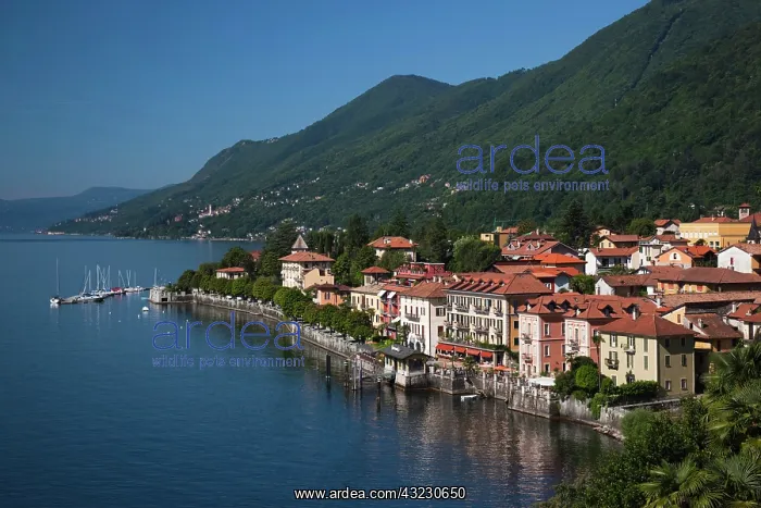 : Italy, Verbano-Cusio-Ossola Province, Cannero : Italy, Verbano-Cusio-Ossola Province, Cannero