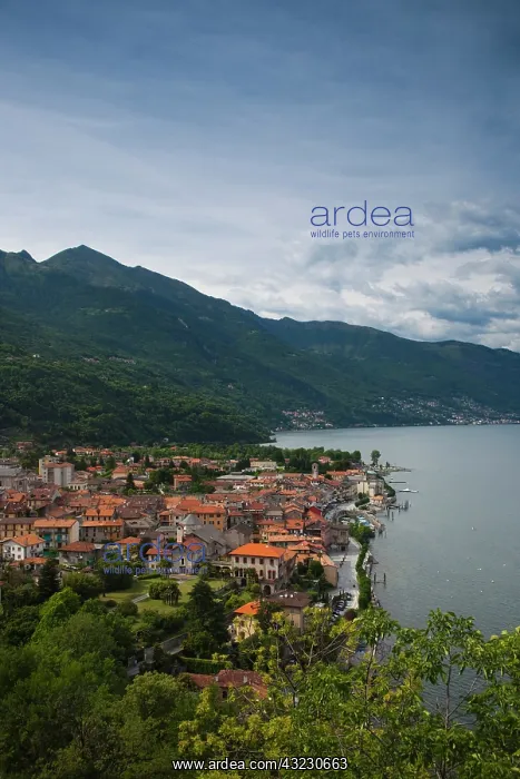 : Italy, Verbano-Cusio-Ossola Province, Cannobio : Italy, Verbano-Cusio-Ossola Province, Cannobio