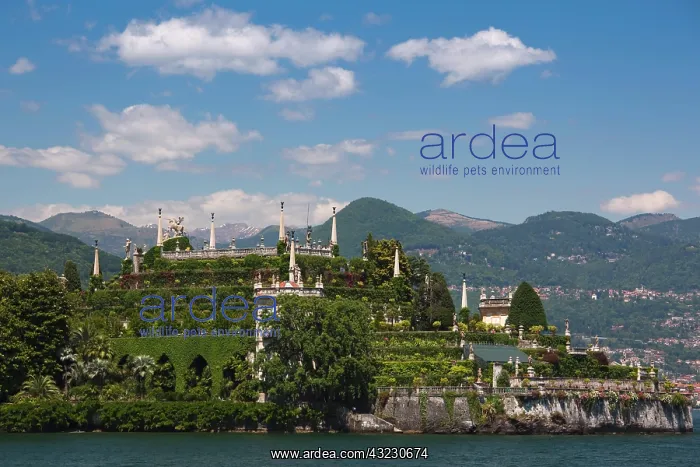: Italy, Verbano-Cusio-Ossola Province, Stresa : Italy, Verbano-Cusio-Ossola Province, Stresa