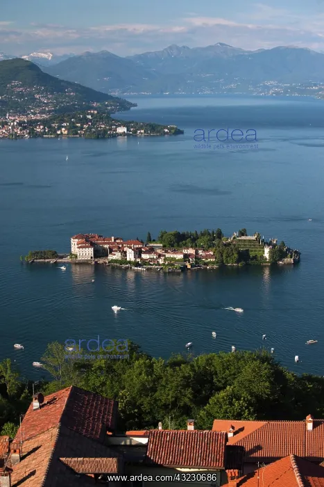 : Italy, Verbano-Cusio-Ossola Province, Stresa : Italy, Verbano-Cusio-Ossola Province, Stresa