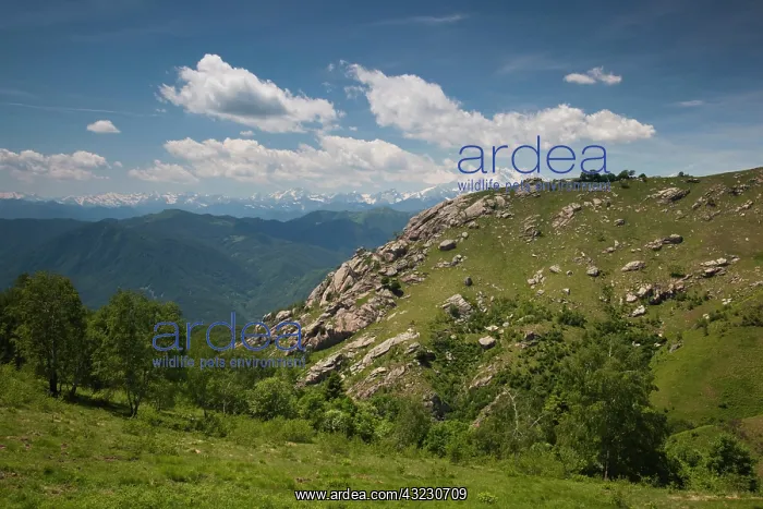 : Italy, Verbano-Cusio-Ossola Province, Stresa : Italy, Verbano-Cusio-Ossola Province, Stresa