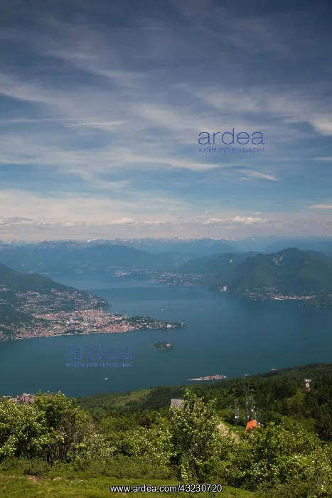 : Italy, Verbano-Cusio-Ossola Province, Stresa : Italy, Verbano-Cusio-Ossola Province, Stresa