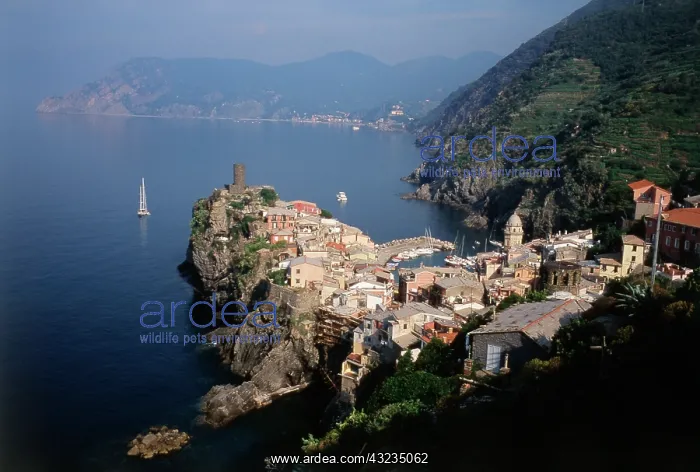 : Italy, Vernazza, Liguria, Cinque Terre landscape : Italy, Vernazza, Liguria, Cinque Terre landscape