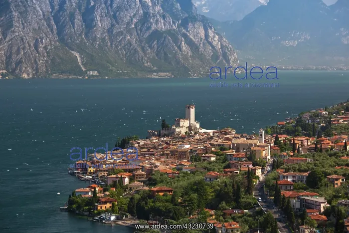 : Italy, Verona Province, Malcesine. Aerial : Italy, Verona Province, Malcesine. Aerial