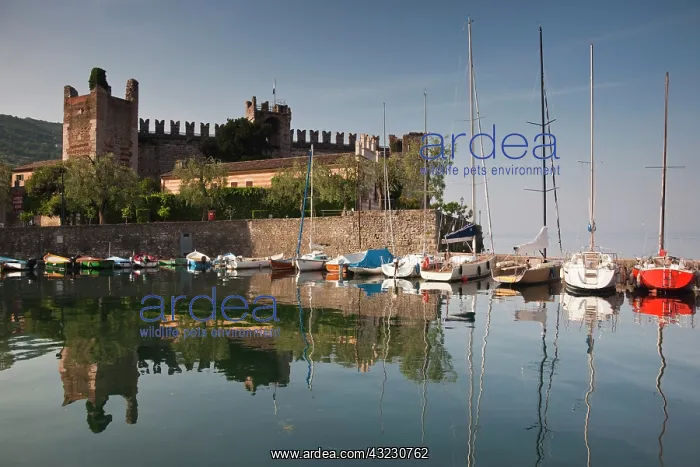 : Italy, Verona Province, Torri del Benaco : Italy, Verona Province, Torri del Benaco