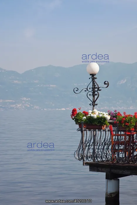 : Italy, Verona Province, Torri del Benaco : Italy, Verona Province, Torri del Benaco