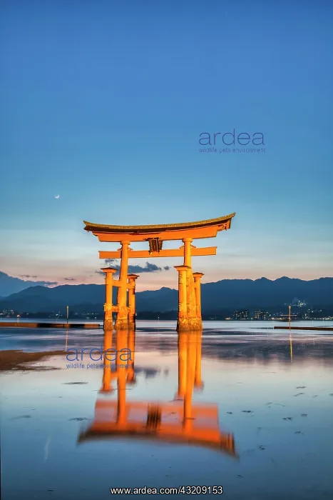 : Itsukushima Miyajima Japan : Itsukushima Miyajima Japan