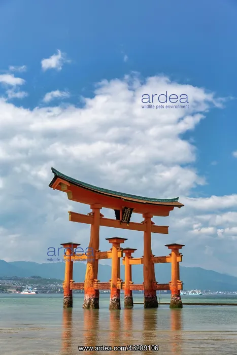 : Itsukushima Miyajima Japan. Itsukushima Shrine and : Itsukushima Miyajima Japan. Itsukushima Shrine and