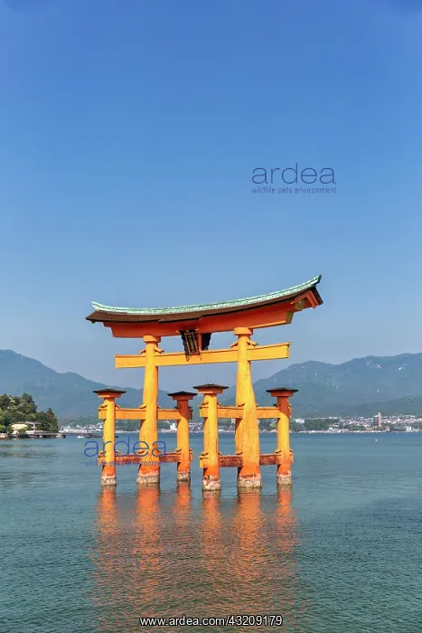 : Itsukushima Miyajima Japan. Itsukushima Shrine and : Itsukushima Miyajima Japan. Itsukushima Shrine and