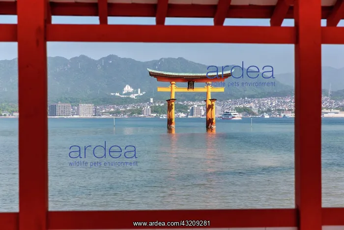 : Itsukushima Miyajima Japan. Itsukushima Shrine and : Itsukushima Miyajima Japan. Itsukushima Shrine and