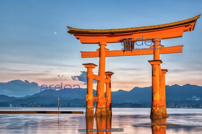 : Itsukushima Miyajima Japan. Itsukushima Shrine and : Itsukushima Miyajima Japan. Itsukushima Shrine and