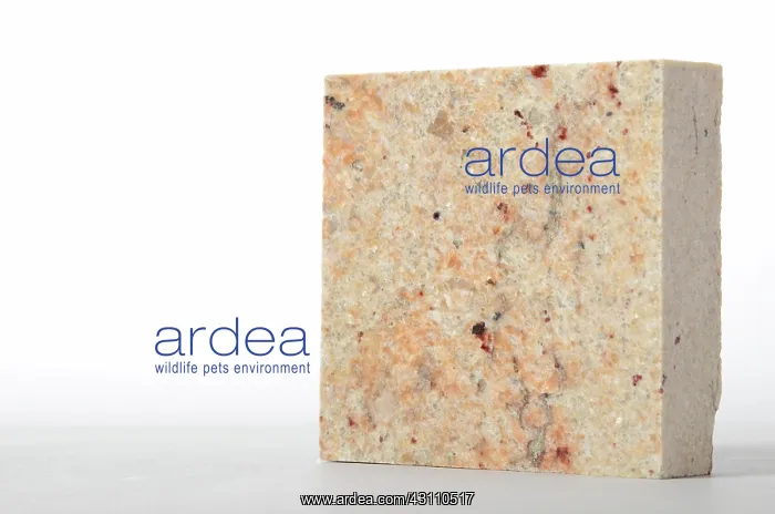 : Ivory Brown Granite : Ivory Brown Granite