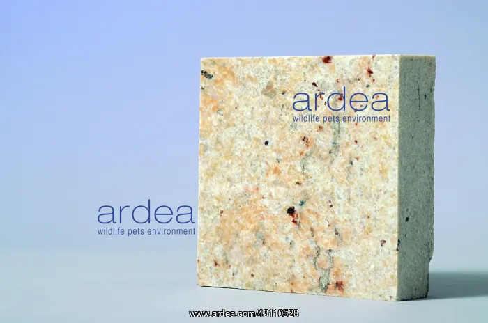 : Ivory Brown Granite : Ivory Brown Granite