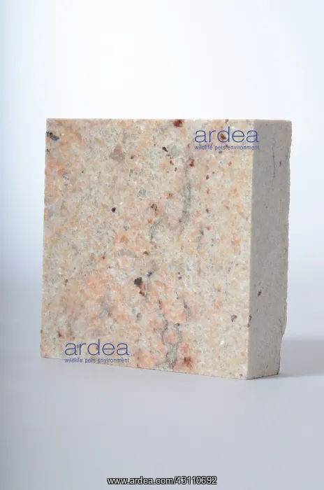 : Ivory Brown Granite : Ivory Brown Granite