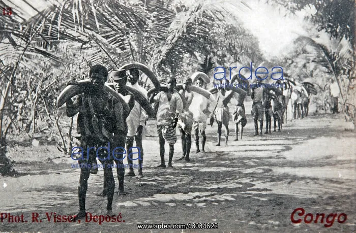  : Ivory hunting, Congo, old postcard probably 1920s