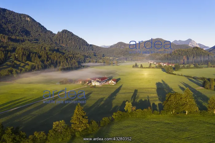 : Jachenau in the morning light, Isarwinkel, aerial : Jachenau in the morning light, Isarwinkel, aerial