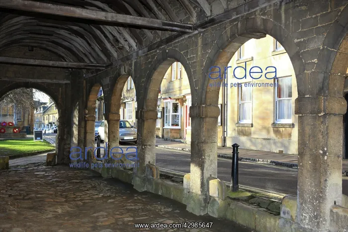 : The Jacobean Market Hall : The Jacobean Market Hall