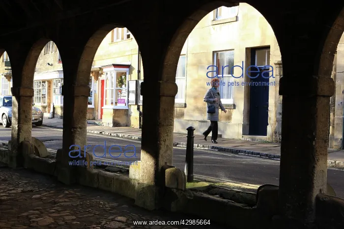 : The Jacobean Market Hall : The Jacobean Market Hall
