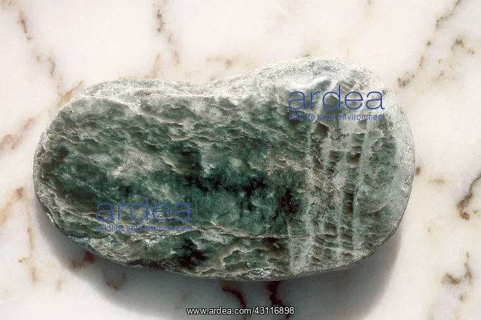 : Jade on Marble : Jade on Marble