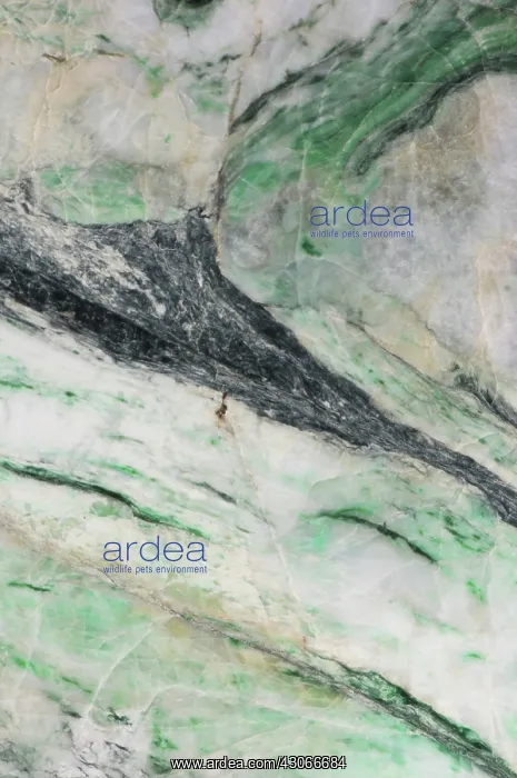 : Jade, a semi-precious stone. There are two varieties, nephrite and jadeite : Jade, a semi-precious stone. There are two varieties, nephrite and jadeite