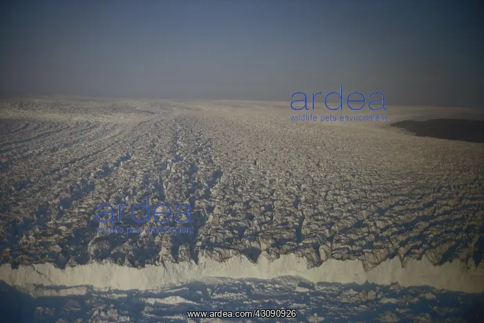 : Jakobshavn Glacier : Jakobshavn Glacier